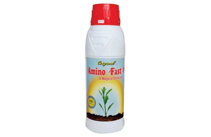 Amino Fast