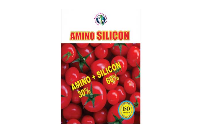 Amino Silicon