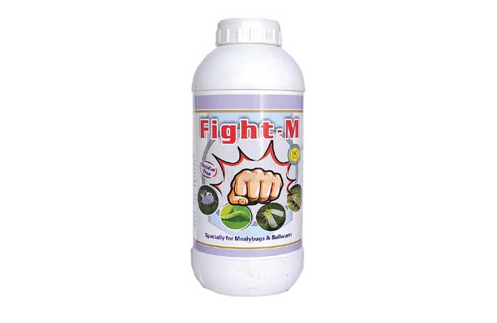 Fight - M