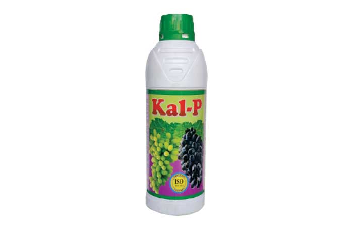 Kal - P